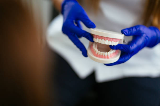 Reliable South Bound Brook, NJ  Holistic Dental Services Solutions